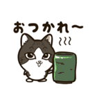 ひのき猫 息子のイラストスタンプVer.3（個別スタンプ：9）