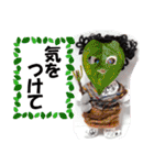 dokukinokoの人形スタンプ2（個別スタンプ：24）