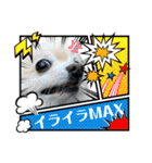 わんずと仲間達 デカ文字 アニマル（個別スタンプ：27）