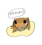 クレステッドゲッコーのシルとミル（個別スタンプ：9）