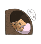 クレステッドゲッコーのシルとミル（個別スタンプ：14）