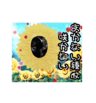 動く黒猫ハルとロビン夏用（個別スタンプ：19）