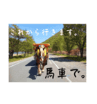 榛名湖遊覧馬車かんたろうくん2（個別スタンプ：1）