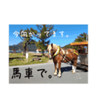 榛名湖遊覧馬車かんたろうくん2（個別スタンプ：2）