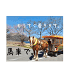 榛名湖遊覧馬車かんたろうくん2（個別スタンプ：3）