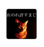 榛名湖遊覧馬車かんたろうくん2（個別スタンプ：24）