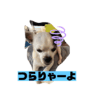 アンちゃんファミリー・2静岡方言編（個別スタンプ：9）