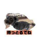 アンちゃんファミリー・2静岡方言編（個別スタンプ：10）