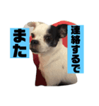 アンちゃんファミリー・2静岡方言編（個別スタンプ：28）