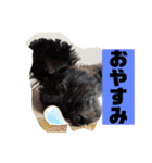 アンちゃんファミリー・2静岡方言編（個別スタンプ：32）