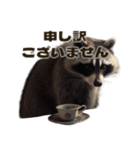 ⚫カフェラテでアライグマ敬語2（個別スタンプ：3）