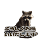 ⚫カフェラテでアライグマ敬語2（個別スタンプ：6）