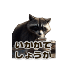 ⚫カフェラテでアライグマ敬語2（個別スタンプ：9）