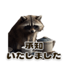 ⚫カフェラテでアライグマ敬語2（個別スタンプ：12）