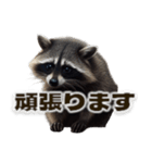 ⚫カフェラテでアライグマ敬語2（個別スタンプ：15）