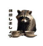 ⚫カフェラテでアライグマ敬語2（個別スタンプ：20）