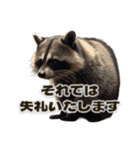 ⚫カフェラテでアライグマ敬語2（個別スタンプ：28）