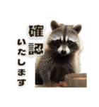 ⚫カフェラテでアライグマ敬語2（個別スタンプ：30）