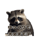 ⚫カフェラテでアライグマ敬語2（個別スタンプ：36）