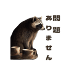 ⚫カフェラテでアライグマ敬語2（個別スタンプ：40）