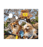 武居family41（個別スタンプ：5）
