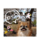 武居family41（個別スタンプ：7）