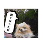 武居family41（個別スタンプ：9）