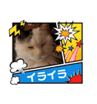 武居family41（個別スタンプ：11）