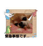 武居family41（個別スタンプ：19）