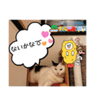 武居family41（個別スタンプ：20）