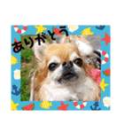 武居family41（個別スタンプ：27）