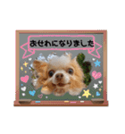 武居family41（個別スタンプ：28）