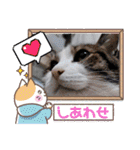 武居family41（個別スタンプ：29）