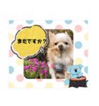 武居family41（個別スタンプ：33）