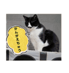 武居family41（個別スタンプ：39）