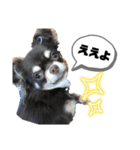 はなにゃん1（個別スタンプ：8）