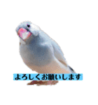 文鳥ラムネ＆ソーダのスタンプ（個別スタンプ：2）