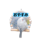 文鳥ラムネ＆ソーダのスタンプ（個別スタンプ：14）