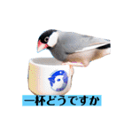 文鳥ラムネ＆ソーダのスタンプ（個別スタンプ：26）