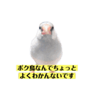 文鳥ラムネ＆ソーダのスタンプ（個別スタンプ：32）