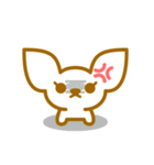 チワワフレンズ（個別スタンプ：31）