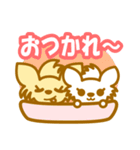 チワワフレンズ（個別スタンプ：37）