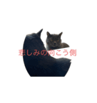 てんとあんずライブ（個別スタンプ：2）