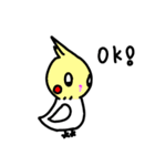 新インコのポコちゃん（個別スタンプ：2）