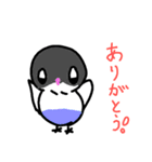 新インコのポコちゃん（個別スタンプ：5）