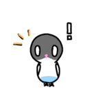 新インコのポコちゃん（個別スタンプ：12）