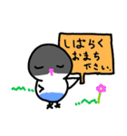 新インコのポコちゃん（個別スタンプ：13）