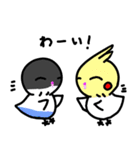 新インコのポコちゃん（個別スタンプ：18）