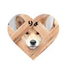 柴犬てんちゃんの毎日（個別スタンプ：12）
