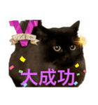 黒猫 ルナ院長88にゃんめ（個別スタンプ：7）